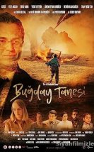 Buğday Tanesi