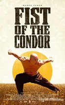 Fist of the Condor