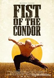 Fist of the Condor